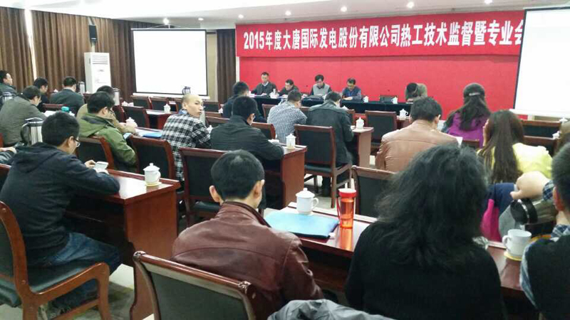 2015年大唐國際熱工技術監督會